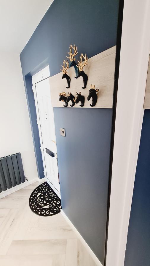 グラスゴーBeautiful 2Bed House With Garden, Walking Distance To Town - Free Parkingアパートメント エクステリア 写真